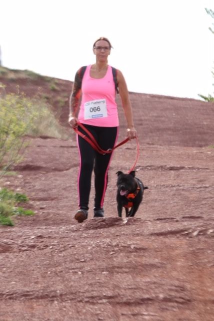 activités que nous proposons au club cani-sport